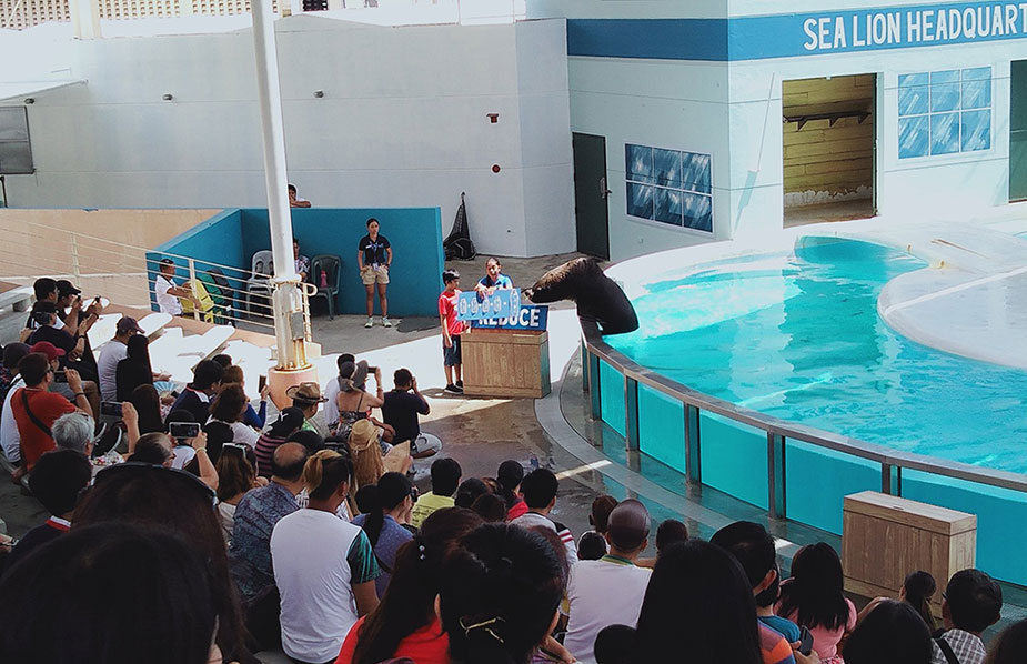 ocean adventure sea lion show