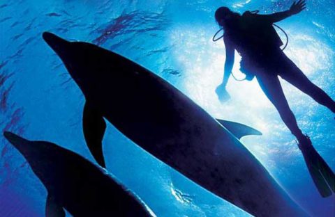 Home - Ocean Adventure Subic Bay