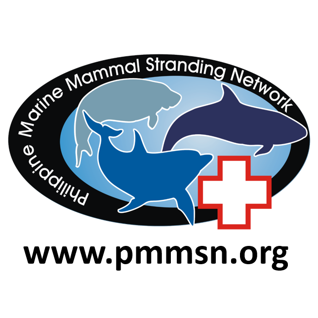 pmmsn logo