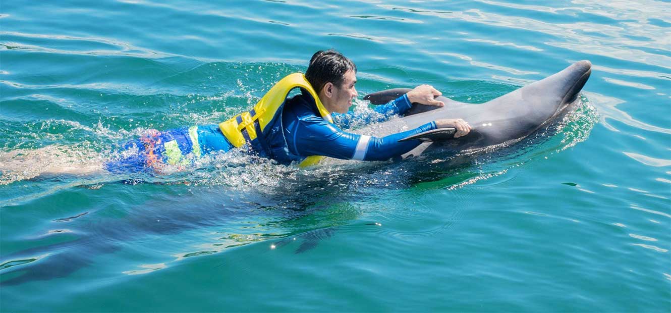 boy swimming with a dolphin in subic bay