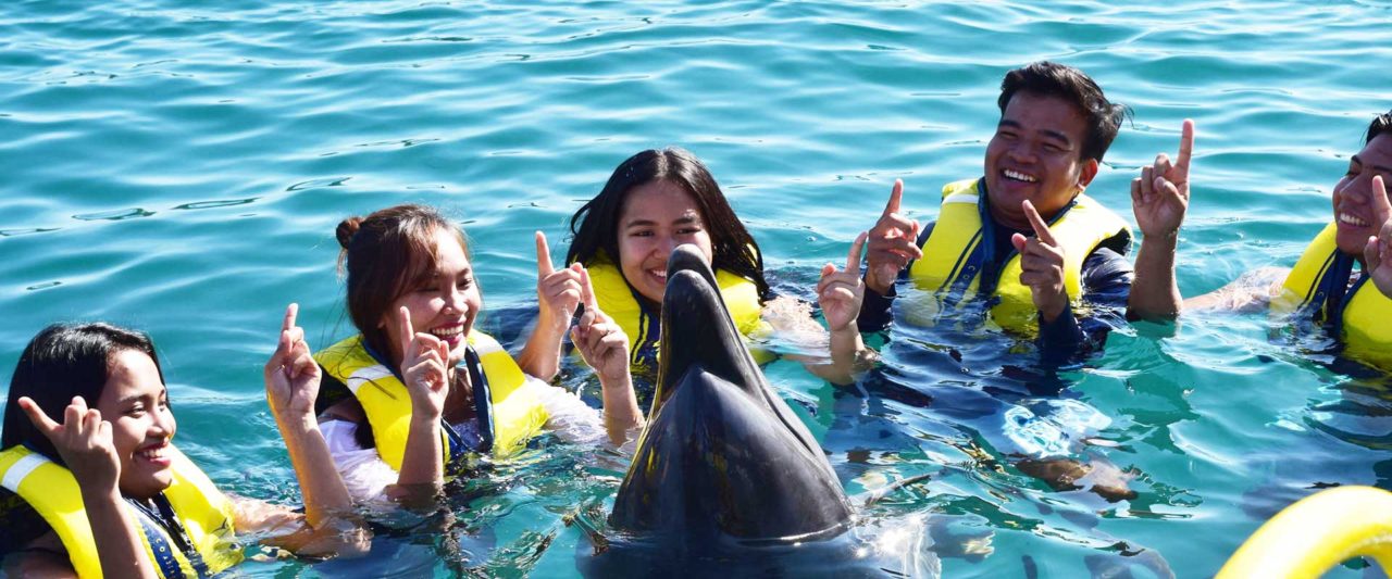 Animal Encounter Day Tour Packages - Ocean Adventure Subic Bay