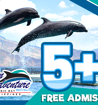 Ocean Adventure’s 5+1