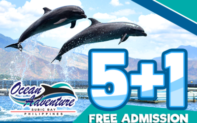 Enjoy Ocean Adventure’s 5+1